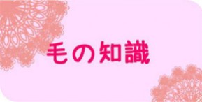 毛の知識