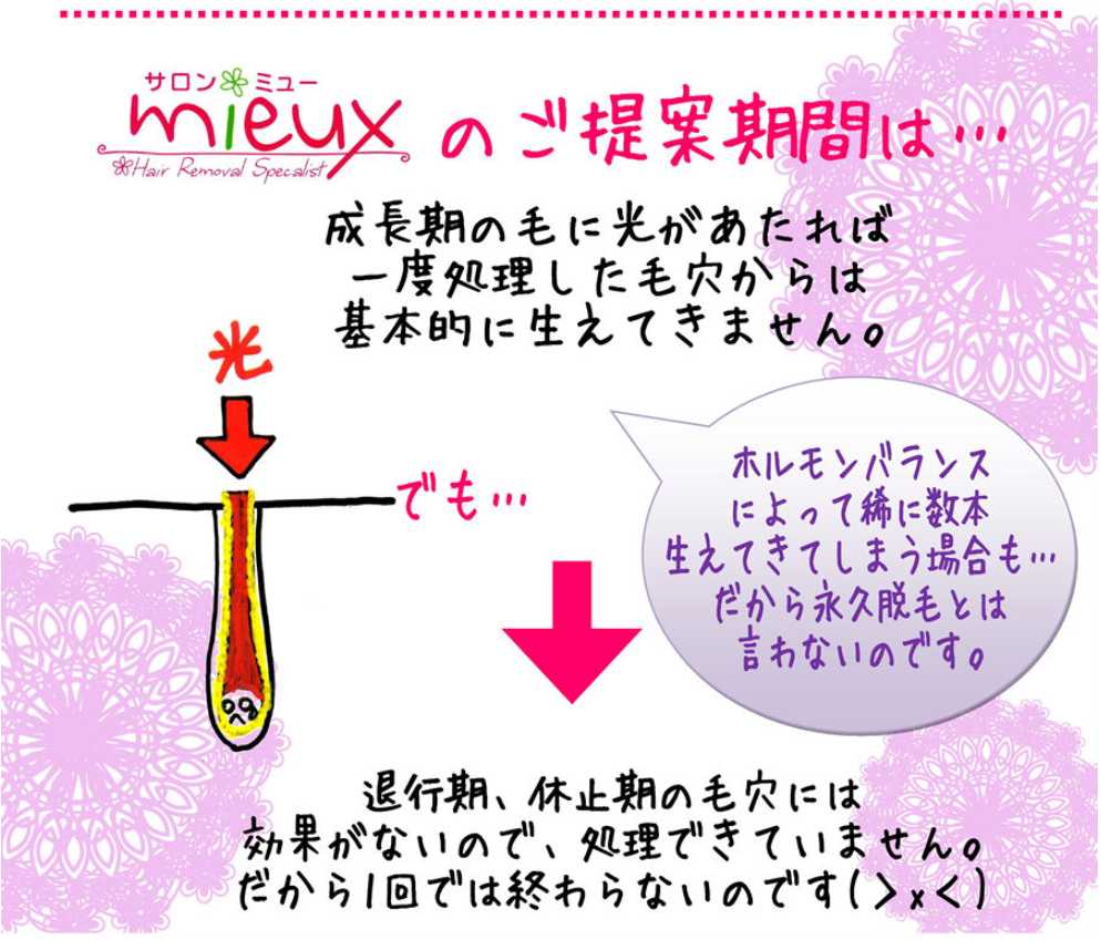 ミューのご提案期間