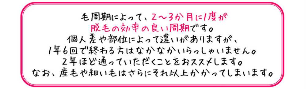 毛周期についての説明