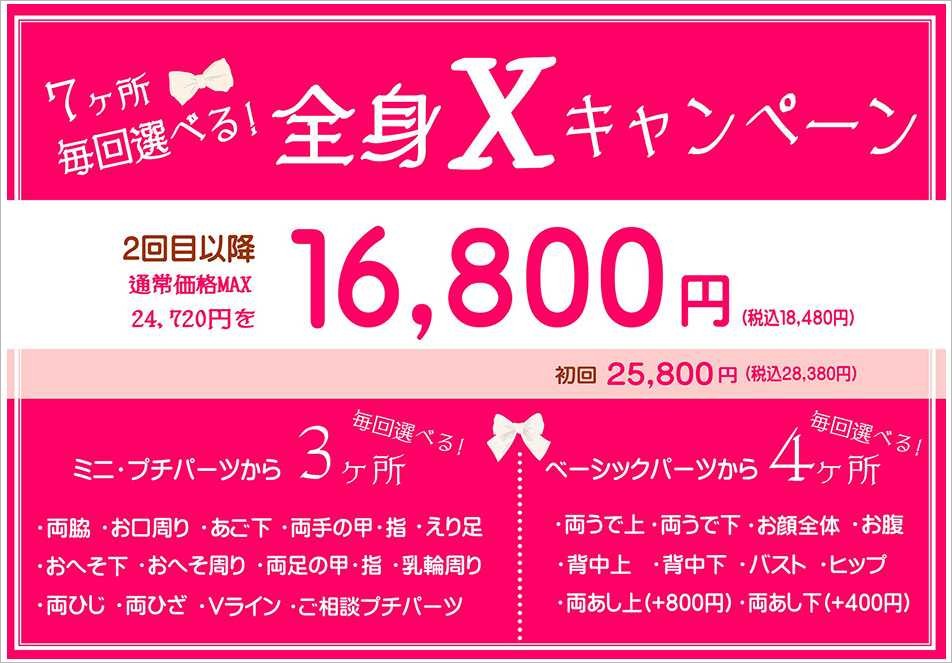 全身xキャンペーン