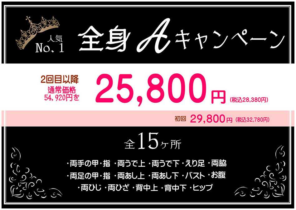 全身Aキャンペーン